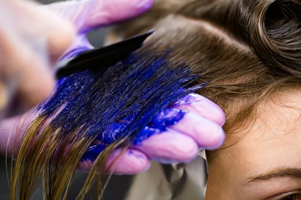 Homem de luvas está morrendo longo cabelo azul colorido. Salão de beleza, Barbeiro . — Fotografia de Stock