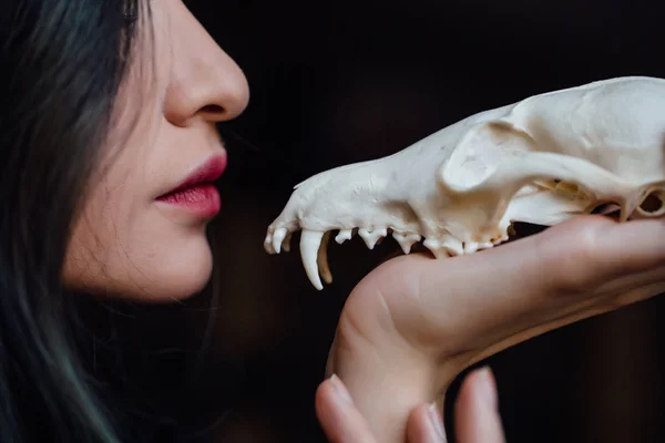 Portrait of a young girl holding a mysterious skull in the hands of a fox. Painted long hair. — Stock Photo, Image