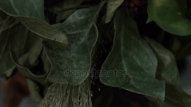 Cráneo de zorro en un ramo de flores marchitas ramo de girasol . — Vídeo de stock