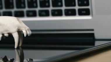 Alt çene üstünde laptop klavye olmadan Fox kafatası. Bu Tehology ve yapay zeka tehlikeleri kavramı
