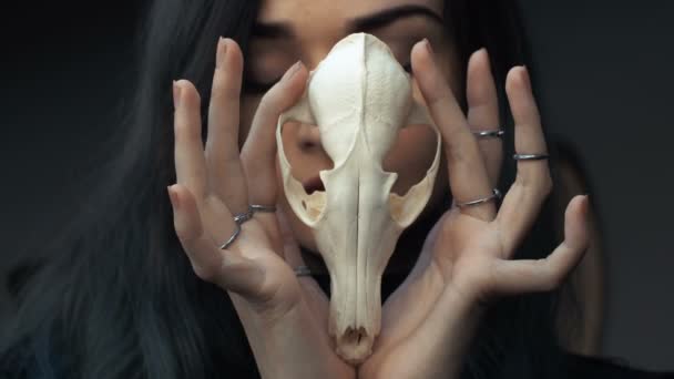 Portret van een jong meisje die houdt van een mysterieuze schedel in handen van een vos. Geschilderde lange haren. — Stockvideo