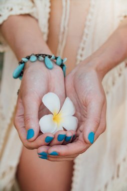 Plumeria çiçek yandan Turkuaz bilezik ile beyaz .