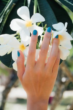 Plumeria çiçek yandan Turkuaz bilezik ile beyaz .