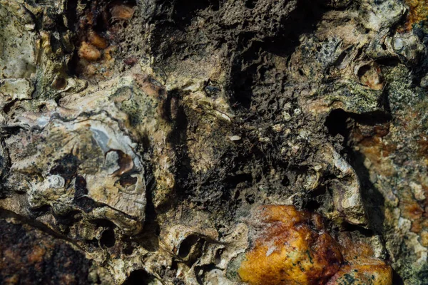 錆が付いている海石のテクスチャ. — ストック写真