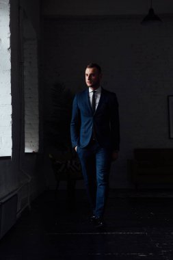 Çekici ve kendine güvenen genç işadamı Mavi takım elbise ve siyah kravat.