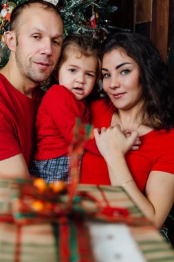 Eksantrik aile içinde kırmızı tişört hediye kutusunda bakar. Noel deli duygular.