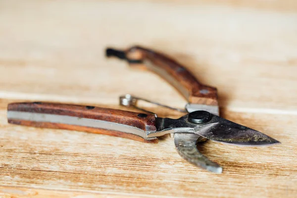 Vintage gamla trädgård secateur på ett träbord. Avbitartång. — Stockfoto