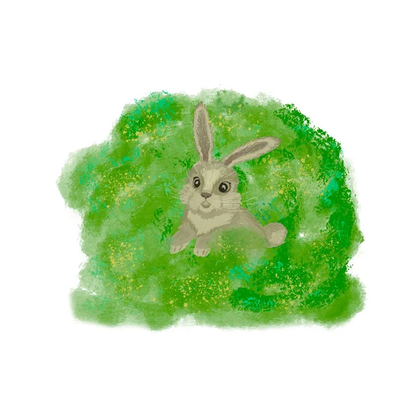 Grå hare som sitter i en grön buske — Stockfoto
