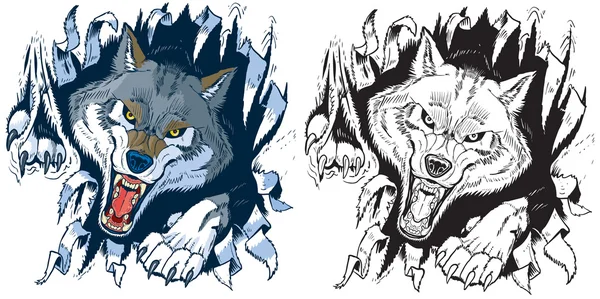 Öfkeli Wolf Ripping arka plan vektör karikatür dışarı — Stok Vektör