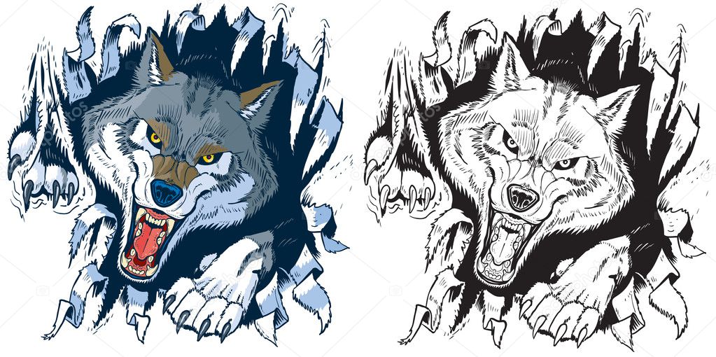 Angry Wolf Ripping out Background Vector Cartoon