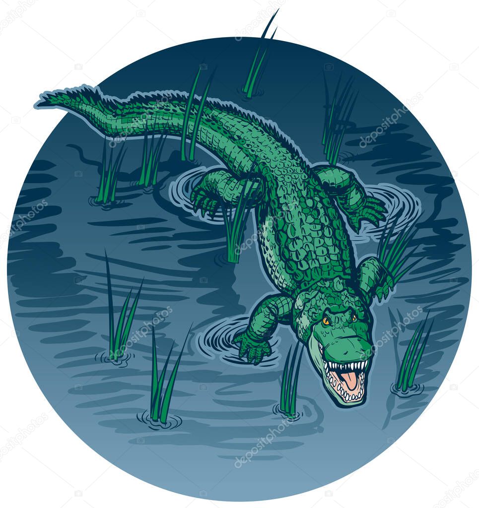 Open Mouth Alligator In Swamp Vector Illustration