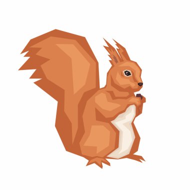  Sincap fındık kemiren