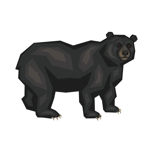 American black bear — Stock Vector