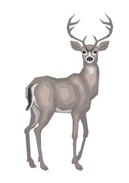 Cerf mulet américain — Image vectorielle