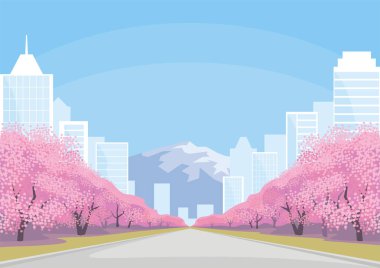 Şehir, dağ ve Sakura