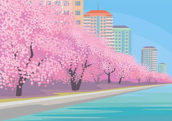 The Oriental cherry blossoms — Stock Vector