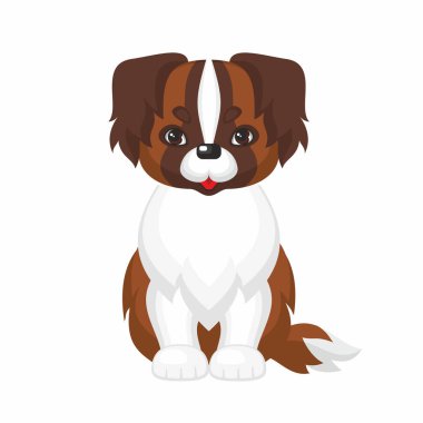 St. bernard köpeği