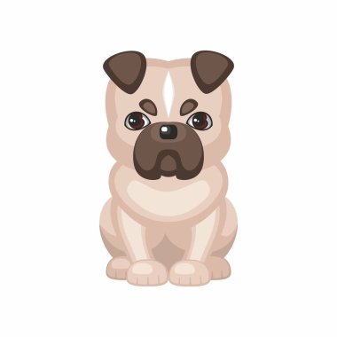 Beyaz İngiliz bulldog