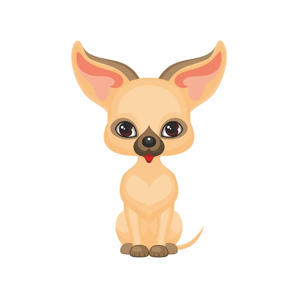 Chihuahua petit chien — Image vectorielle