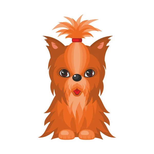 Yorkshire Terrier cão — Vetor de Stock