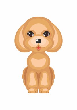 Şirin oyuncak kaniş