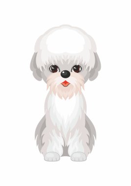 Dandie dinmont korkunç