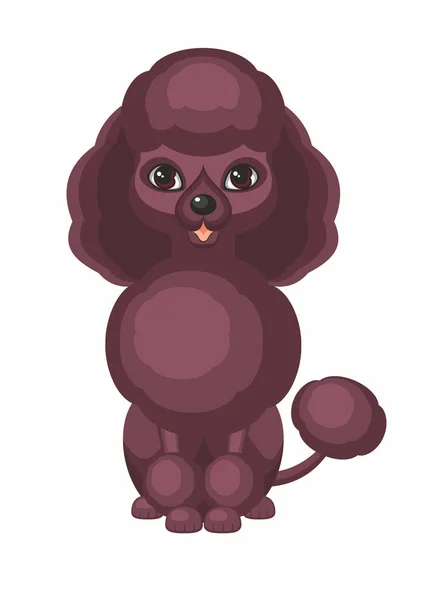 Poodle padrão de chocolate — Vetor de Stock