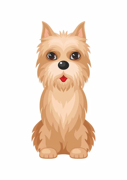 Chien Cairn Terrier — Image vectorielle