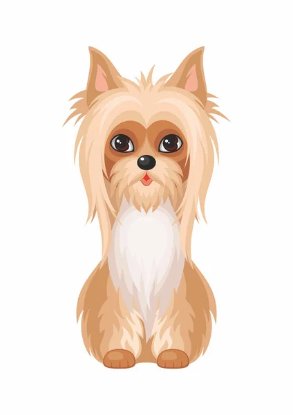 Australien soyeux terrier — Image vectorielle