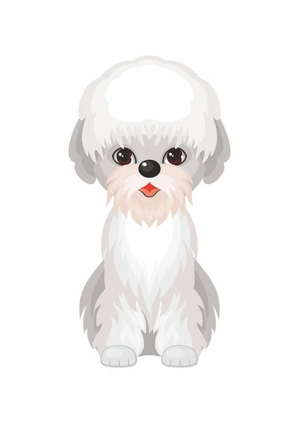 Dandie Dinmont Terrier 2. — Image vectorielle