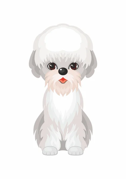 Dandie dinmont terrier — Vetor de Stock