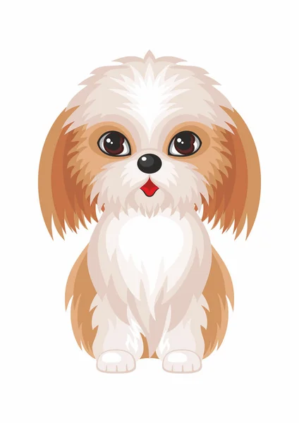 Küçük Shih Tzu — Stok Vektör