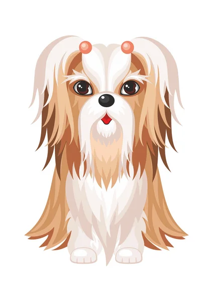 Shih tzu honden — Stockvector