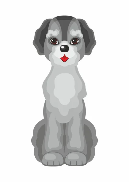 Der Labradoodle-Hund — Stockvektor