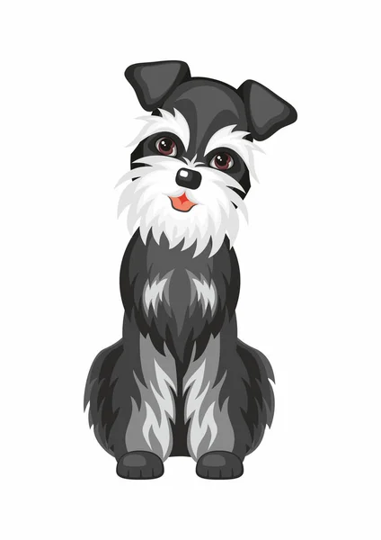 สแตนด์อาร์ตสุนัข Schnauzer — ภาพเวกเตอร์สต็อก