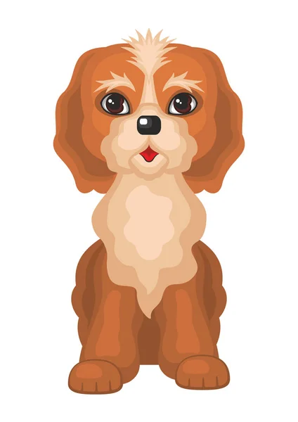 Le chien Cockerpoo — Image vectorielle