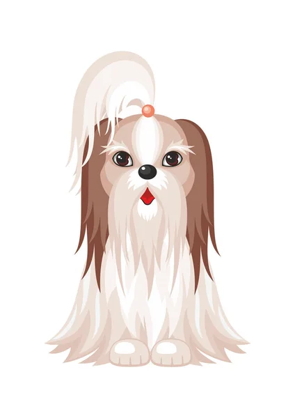 A Shih Tzu kutya — Stock Vector