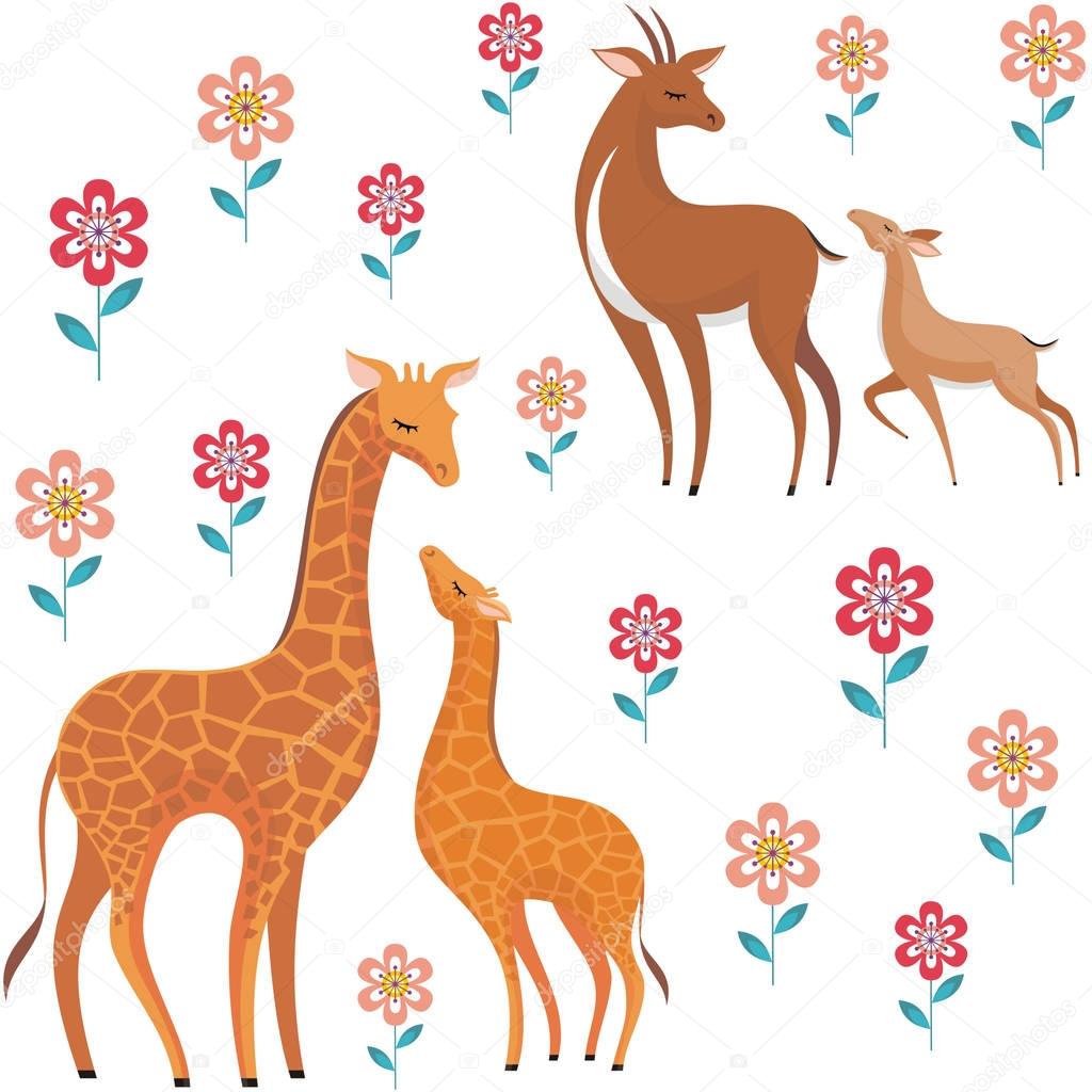 giraffes and antelopes