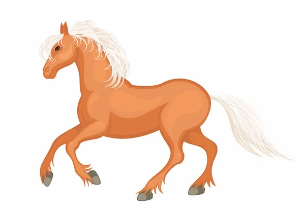 Játra kaštanový kůň — Stockový vektor