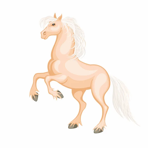 Kůň Palomino — Stockový vektor