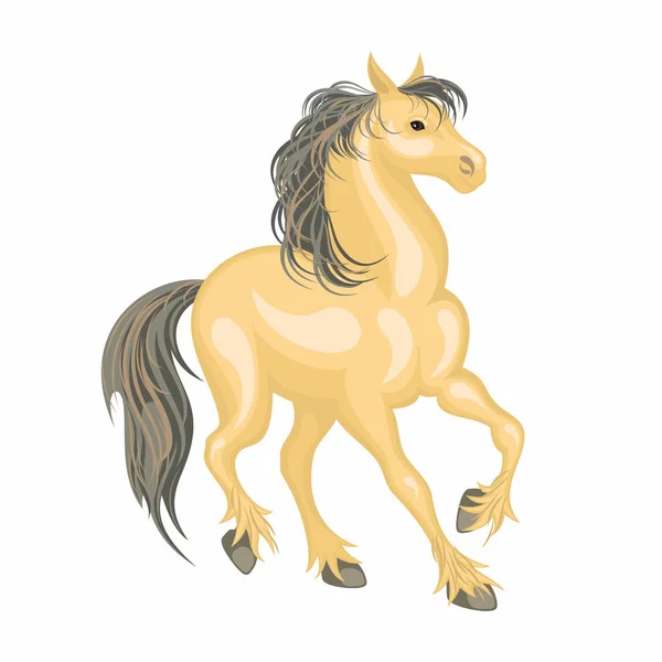 The buckskin horse — Stock Vector