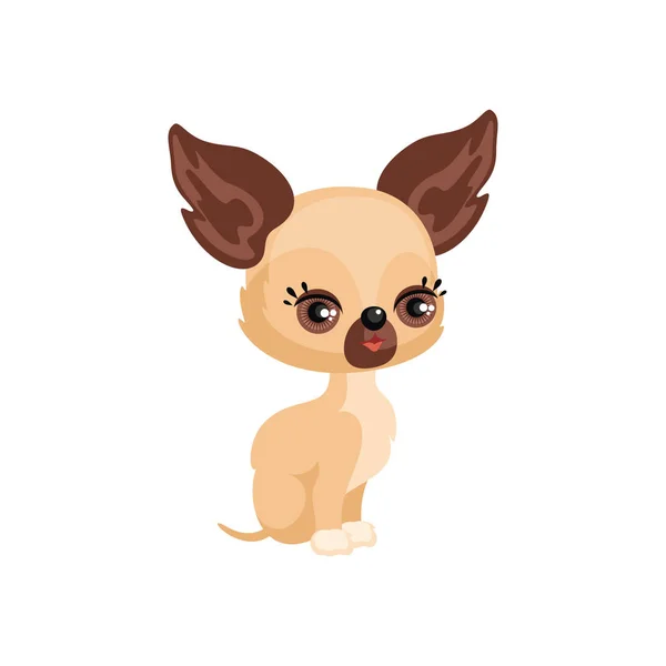 Chien chihuahua mignon — Image vectorielle