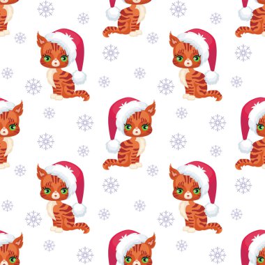 Kırmızı Maine coon kedi desen