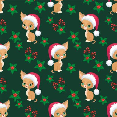 Habeş yavru kedi desen