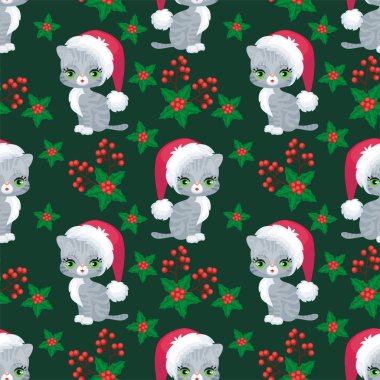 İskoç düz yavru kedi desen