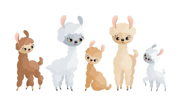 Lindas Llamas Sus Cachorros Ilustraciones Vectoriales Coloridas Estilo Dibujos Animados — Vector de stock