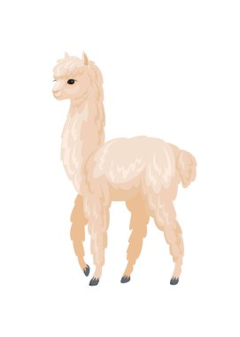 Karikatür tarzı şirin alpaka vektör görüntüsü. Renkli resimde beyaz bir arka plan üzerinde izole