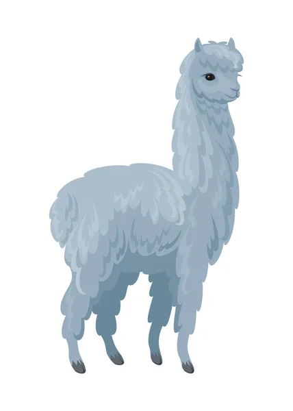 Imagem Vetorial Alpaca Bonito Estilo Cartoon Ilustração Colorida Isolada Sobre —  Vetores de Stock