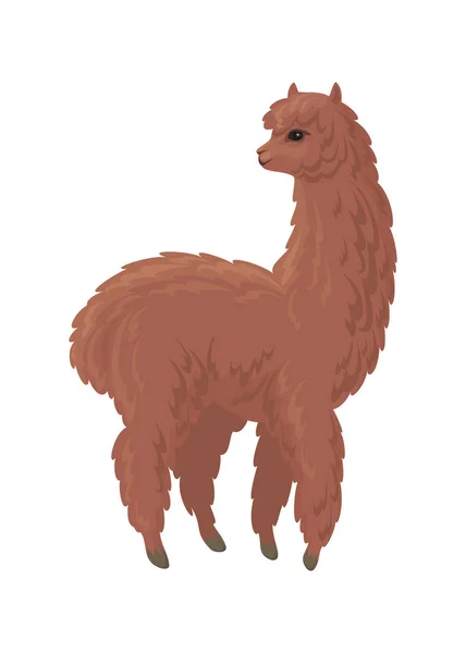 Imagem Vetorial Alpaca Bonito Estilo Cartoon Ilustração Colorida Isolada Sobre — Vetor de Stock