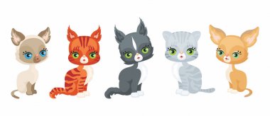 Vektör görüntü şirin safkan yavru kedi çizgi film tarzı. Beyaz bir arka plan üzerinde izole renkli çizimler. Ayarla.